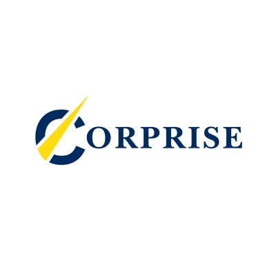 CorpRise | Investability Design