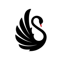 Black Swan Business Setup Services