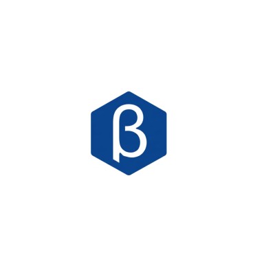 Beta For Metal Industries and Tradings L.L.C Egypt
